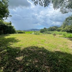 朝倉郡筑前町吹田　売地　79坪 画像6